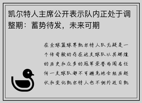凯尔特人主席公开表示队内正处于调整期：蓄势待发，未来可期