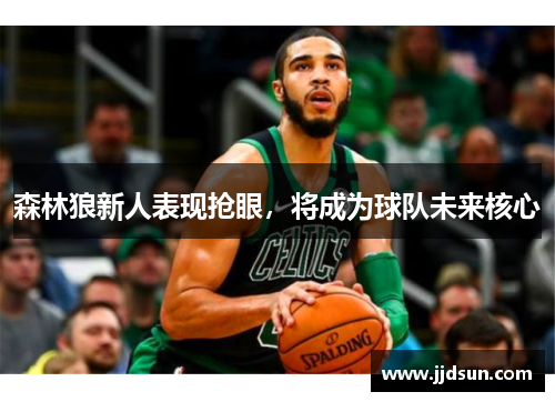 森林狼新人表现抢眼，将成为球队未来核心